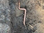 Gas Line Fittings