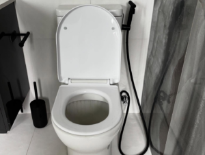 Blocked Toilet