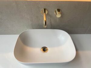Toilet Repairs