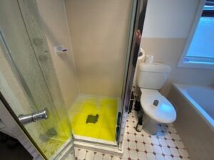 Blocked Toilet
