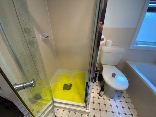 Blocked Toilet
